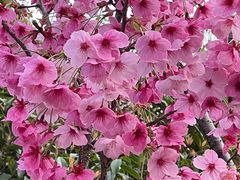 -梁鸿国家湿地公园