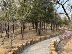 -白水寺森林公园