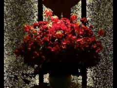 -淮香国色·淮扬菜(正大中心店)