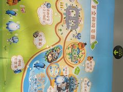 -中国宋庆龄青少年科技文化交流中心