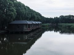 -白渔泡湿地公园