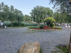 -长春市南湖公园