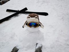 -太子岭滑雪场