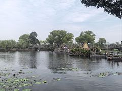 -无锡蠡湖国家湿地公园-蠡园