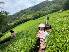 -敬亭山风景名胜区