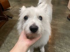 -绿房子方寸咖啡(星海名城店)