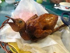 红烧乳鸽-石岐乳鸽村(桥观坊南四巷店)
