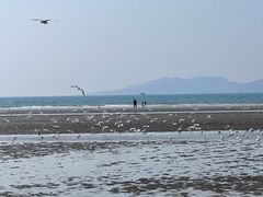 -青岛第一海水浴场
