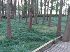 -月湖风景区