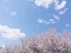 -哈尔滨师范大学(松北校区)