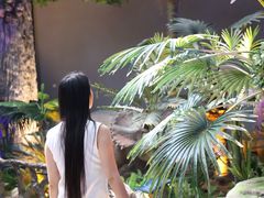 -中国西峡恐龙遗迹园