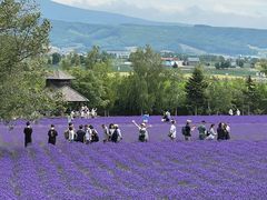 -富田农场