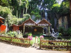 -西双版纳原始森林公园
