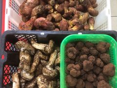 -双喜农庄·菌香园(安居家园店)