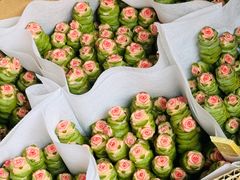 -溪岸路花鸟市场