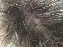 -康乐宝动物医院