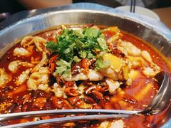 -十二点·辣椒炒肉(南山店)
