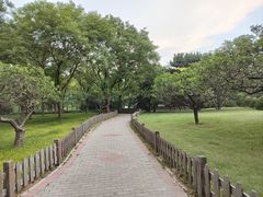 -莲花池公园