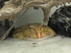 -海合安武汉极地海洋公园