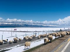 -青海湖国家重点风景名胜区