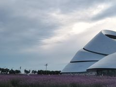 -哈尔滨大剧院
