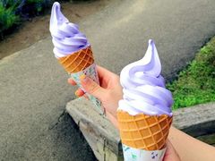 -富田农场