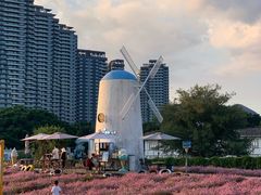 -玫瑰海岸文化旅游度假区