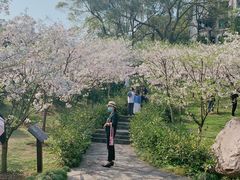 -南山植物园