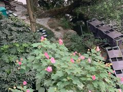 -苏堤停车场