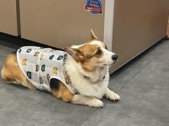 -老四川平头酸菜鱼(衙前店)