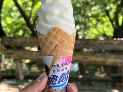 -望儿山温泉水乐园