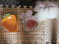 -龙猫仔乐园(惠福东路店)