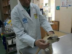 -康乐宝动物医院