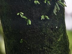 -鼓楼(西湖风景名胜区)