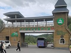 -莫尔道嘎国家森林公园