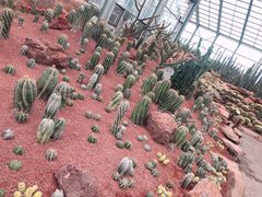 -南通洲际绿博园