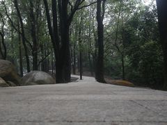 -火炉山森林公园