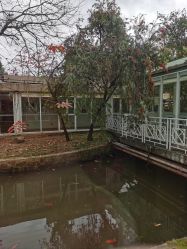 -爱帝宫月子中心(罗湖别墅院)