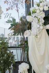 -迈瑞米求婚策划(静安店)