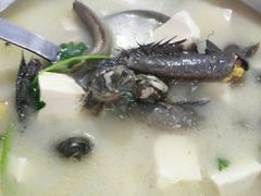 弹涂鱼-南沙十九涌渔人码头-南门