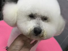 -宠福鑫康馨动物医院·骨科·眼科