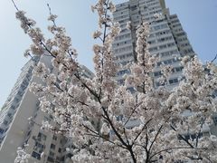 -贮水山儿童公园