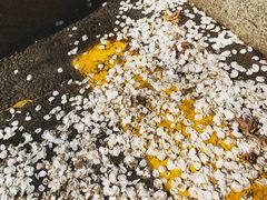 -BHC炸鸡(明洞总店)