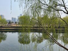 -西海子公园