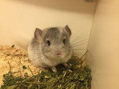 -龙猫仔乐园(惠福东路店)