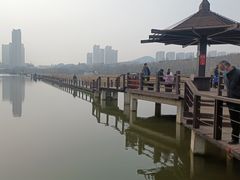 -前关湿地公园