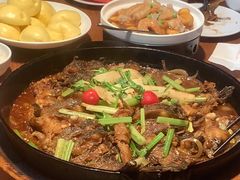 -老板恋上鱼(恒隆广场店)