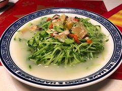 上汤豆苗-禄鼎记·多口味酸菜鱼(侨鑫店)