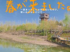 -东郊湿地公园