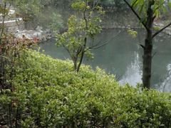 -深业半汤御泉庄温泉